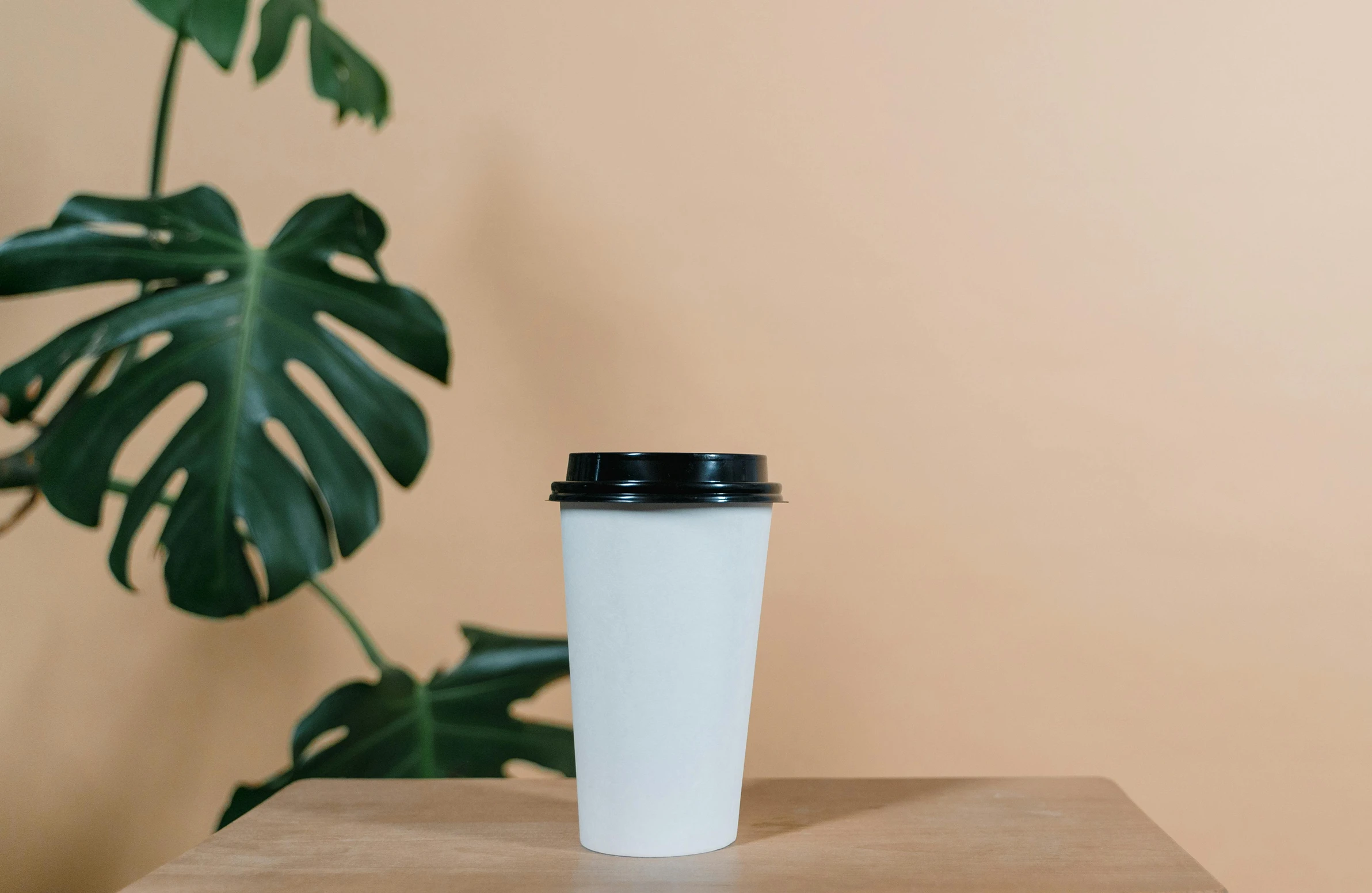 Product photo before background removal